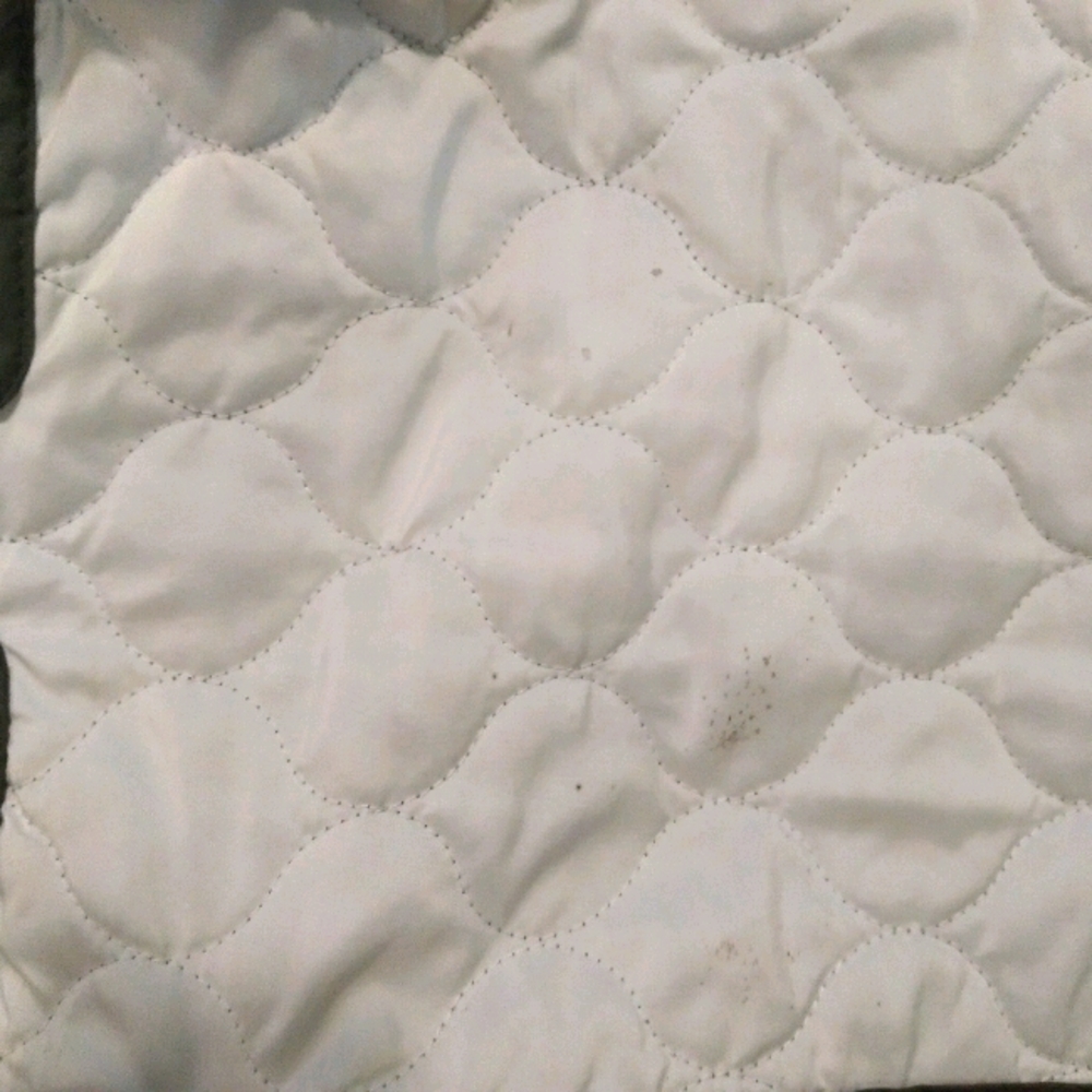 Carseat Insert - Picture 4 of 5